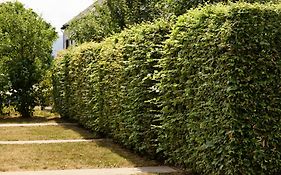 WeinKulturgut Longen-Schlöder